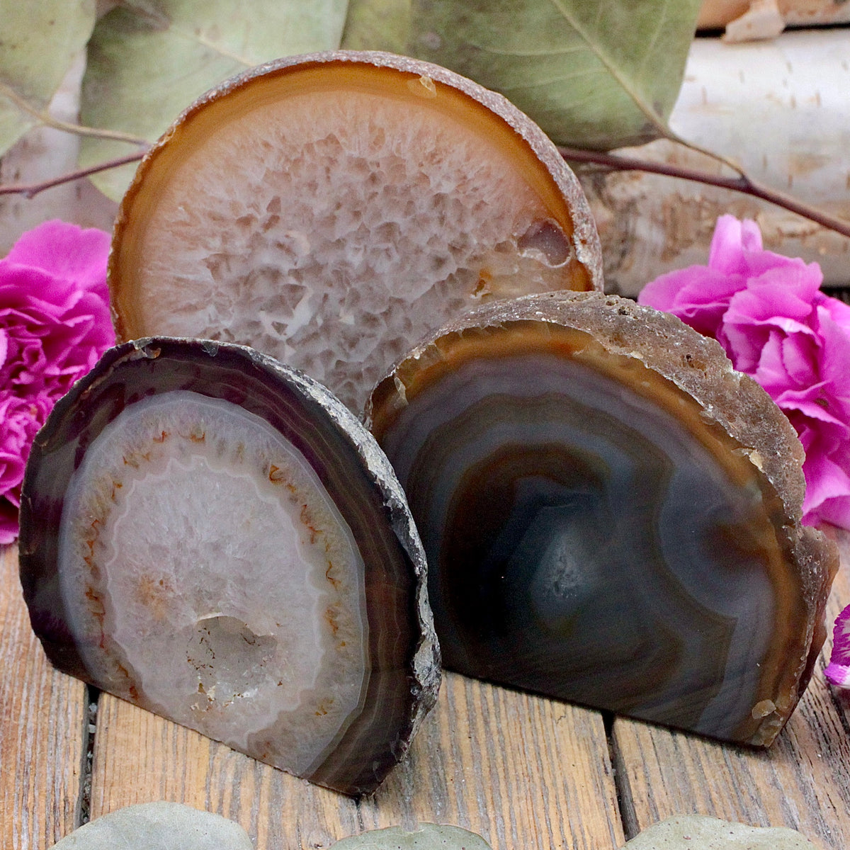 Agate Cutbase