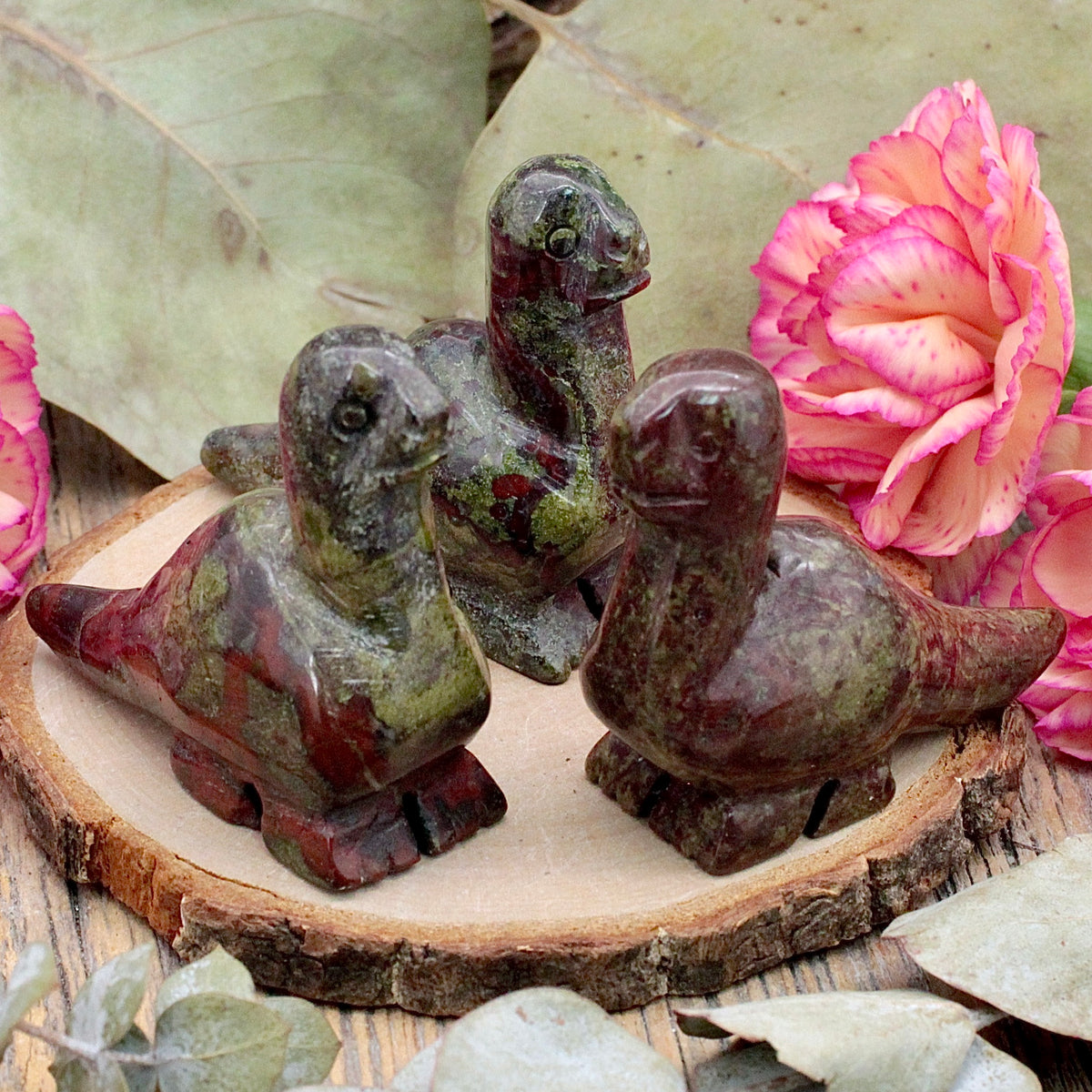 Dragon's Blood Jasper Dinosaur