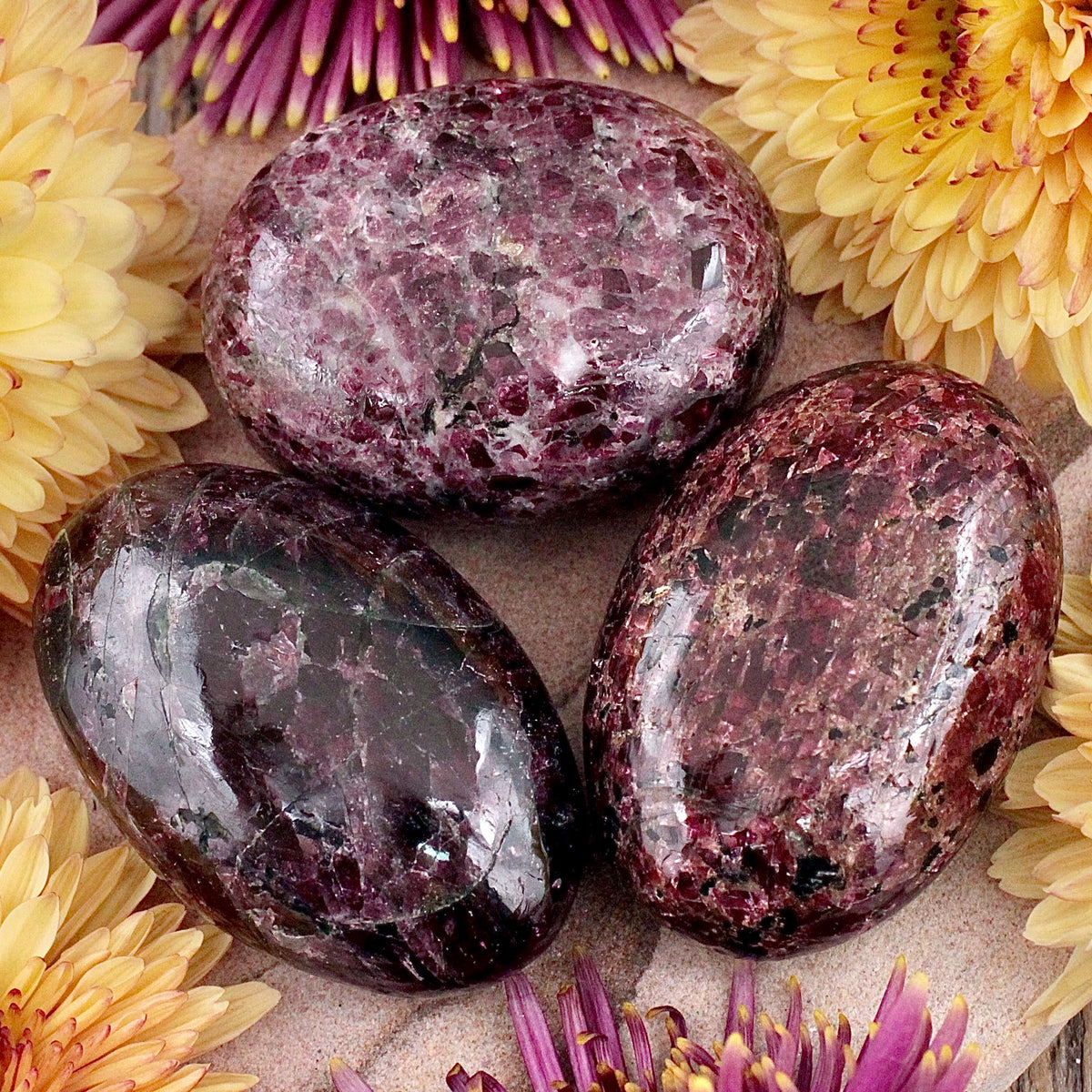 Garnet Palm Stone