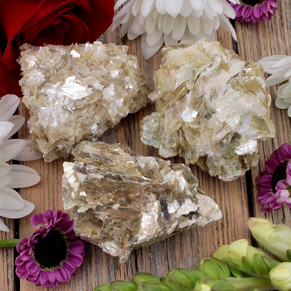 Golden Mica Cluster