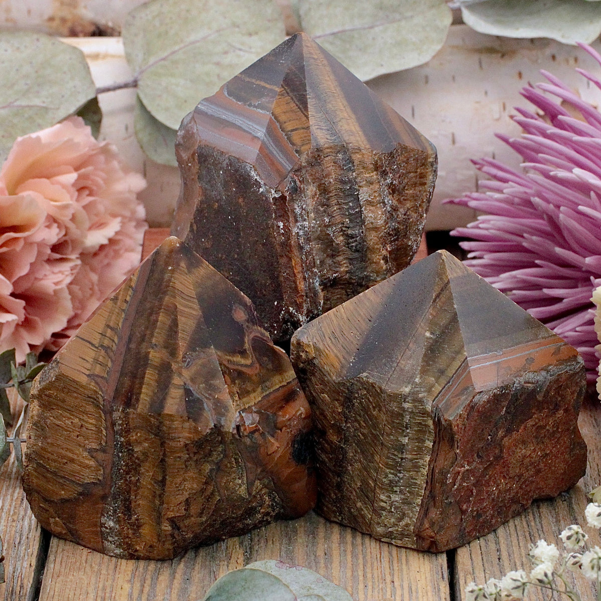 Tiger's Eye Power Point