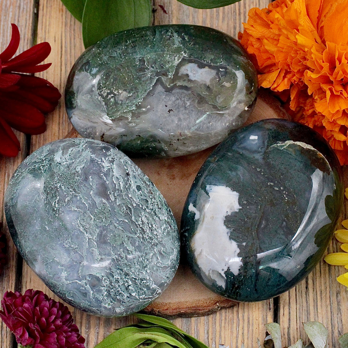 Moss Agate Palm Stone