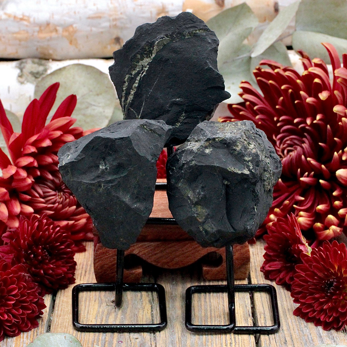 Shungite Mini Pin