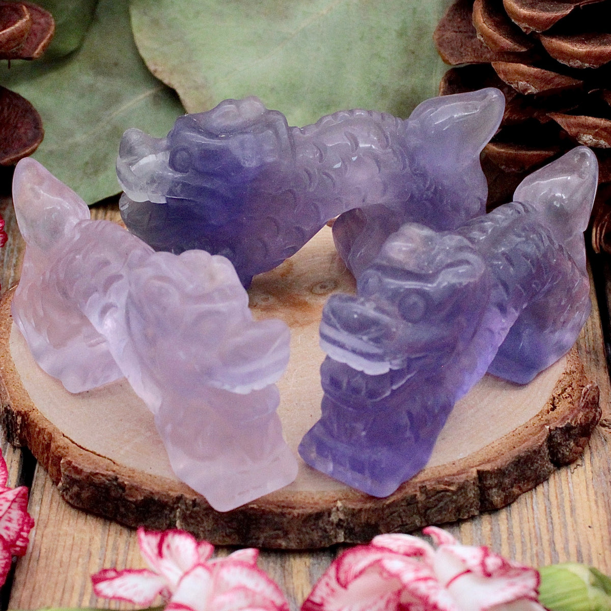 Fluorite Dragon