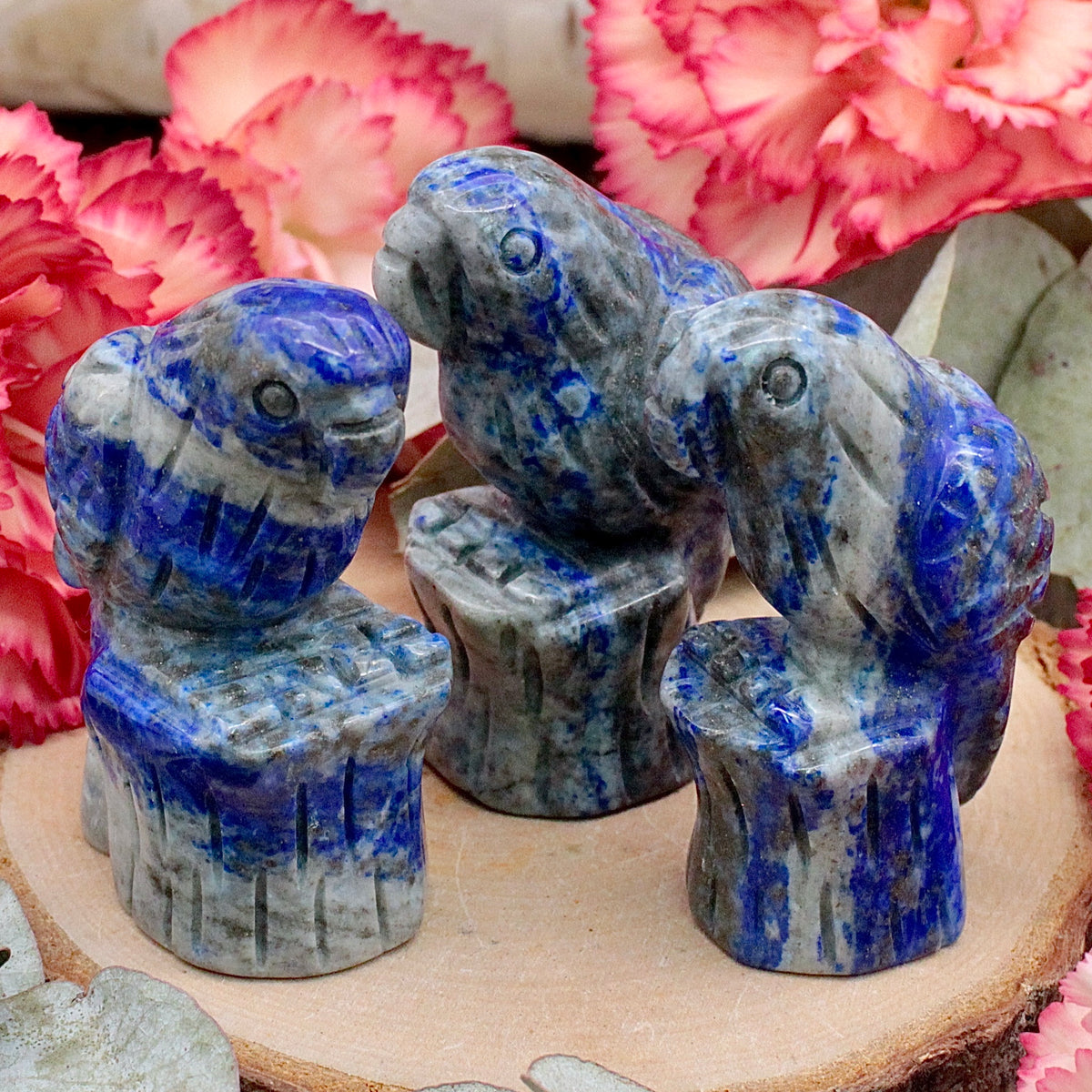 Lapis Lazuli Parrot