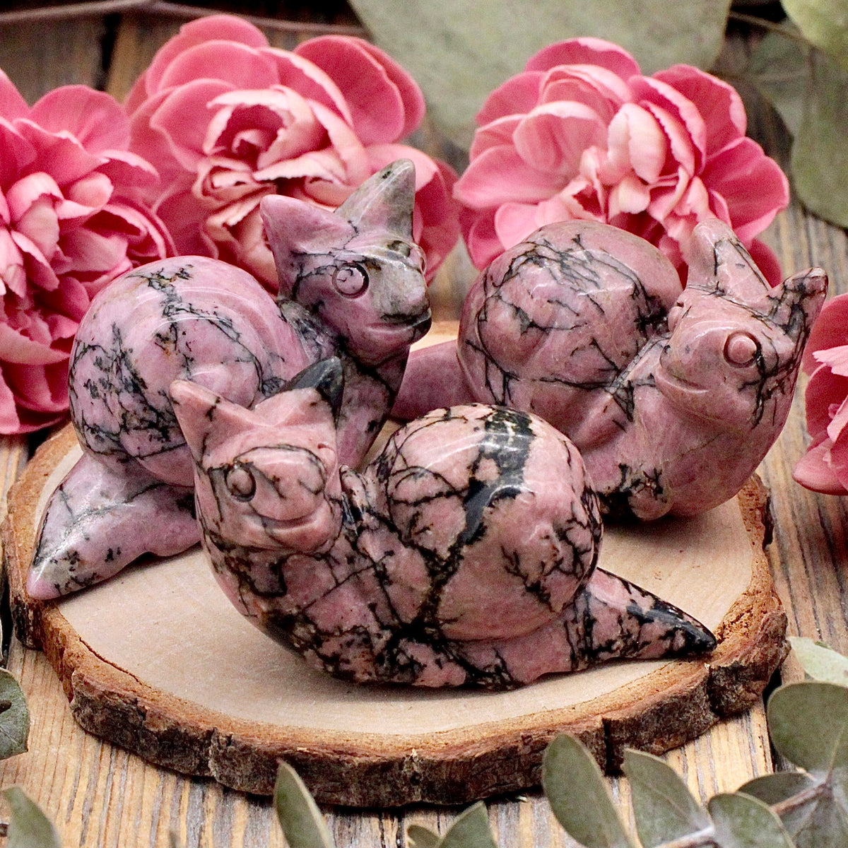 Rhodonite Snail