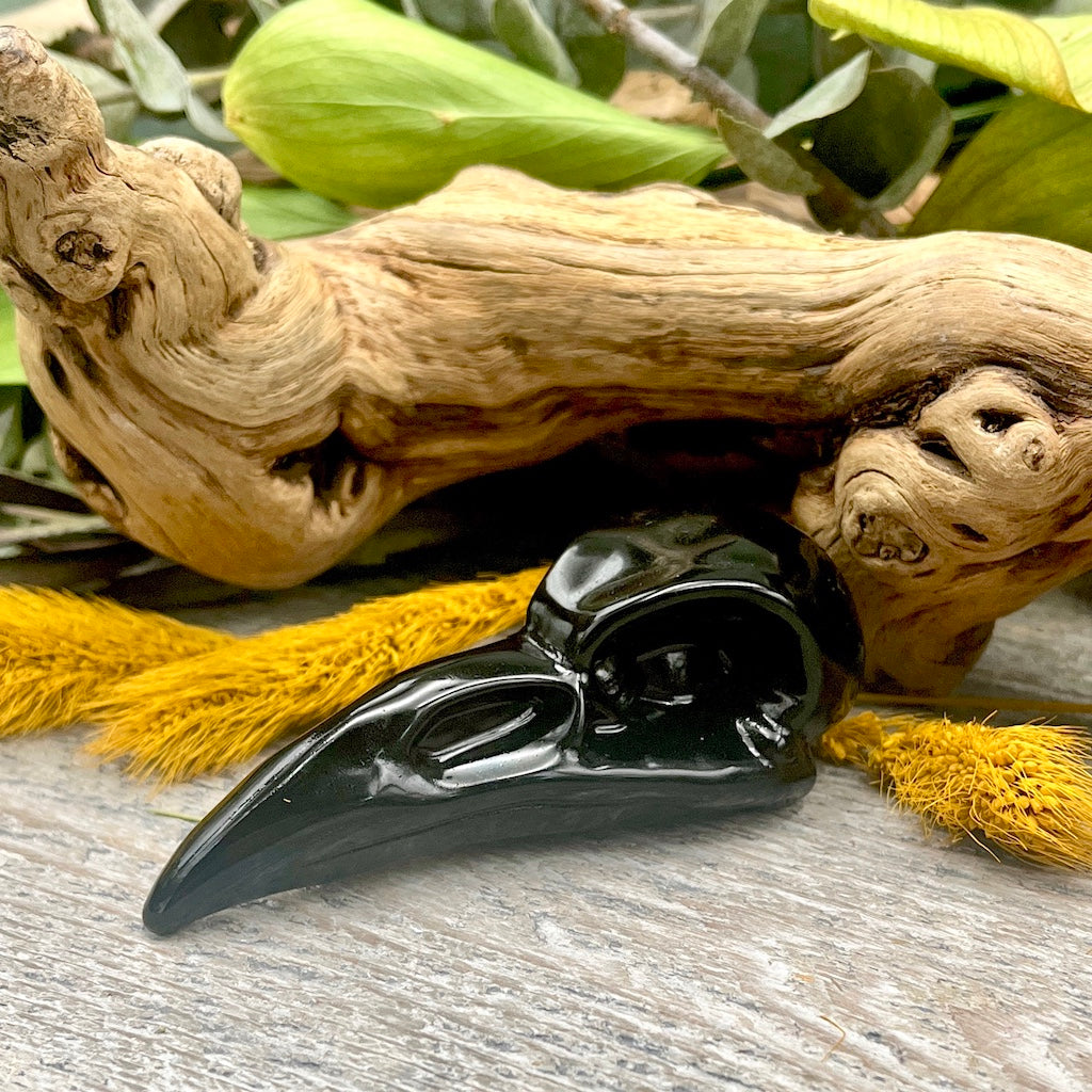 Obsidian Raven Skull