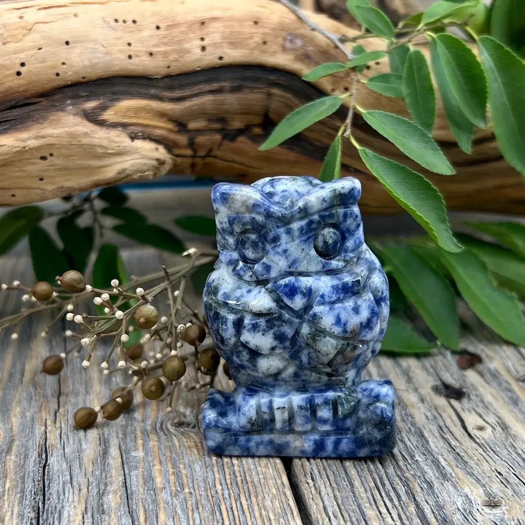 Sodalite Owl Carving