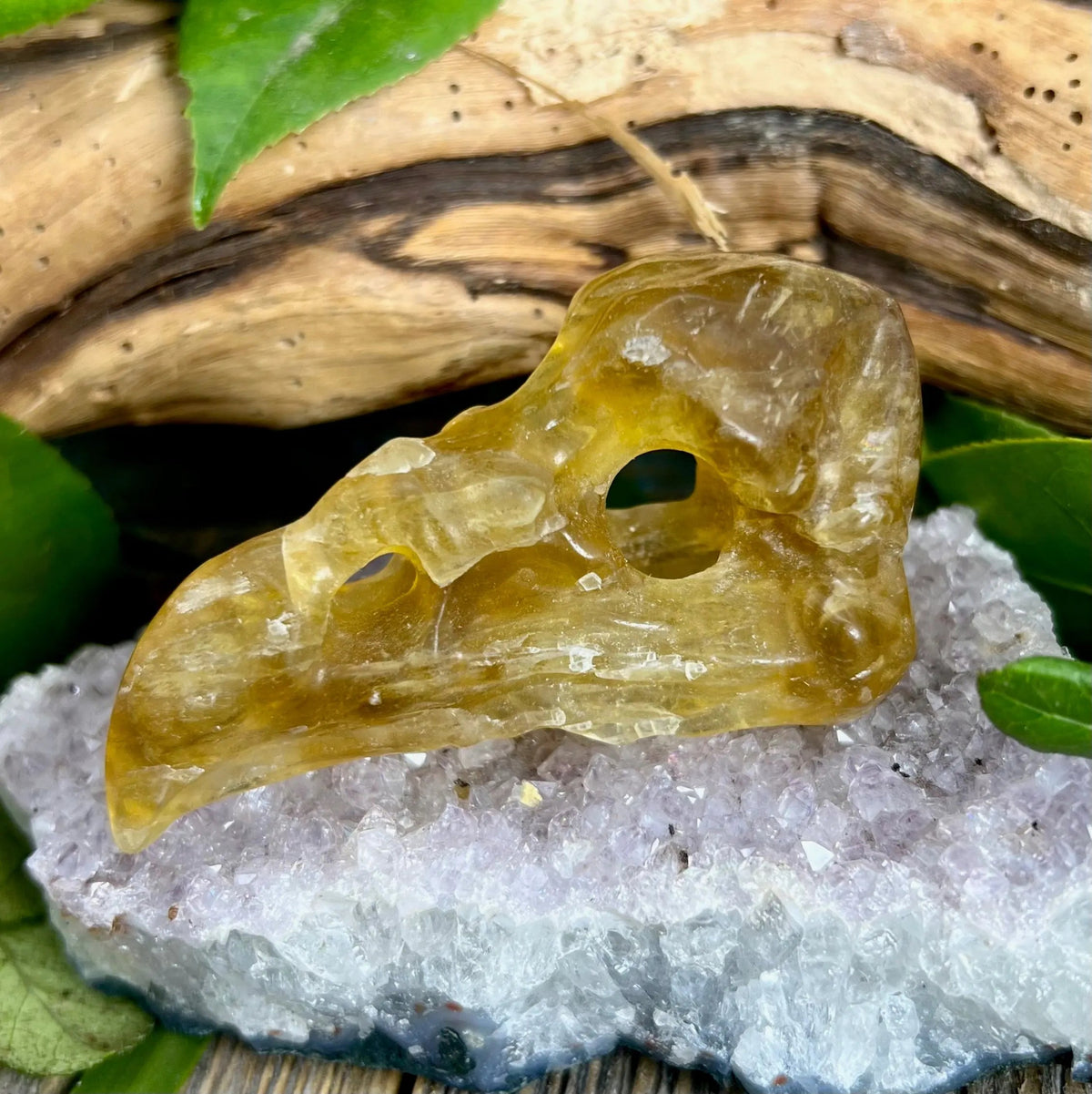 Yellow Fluorite Bird Skull Carving