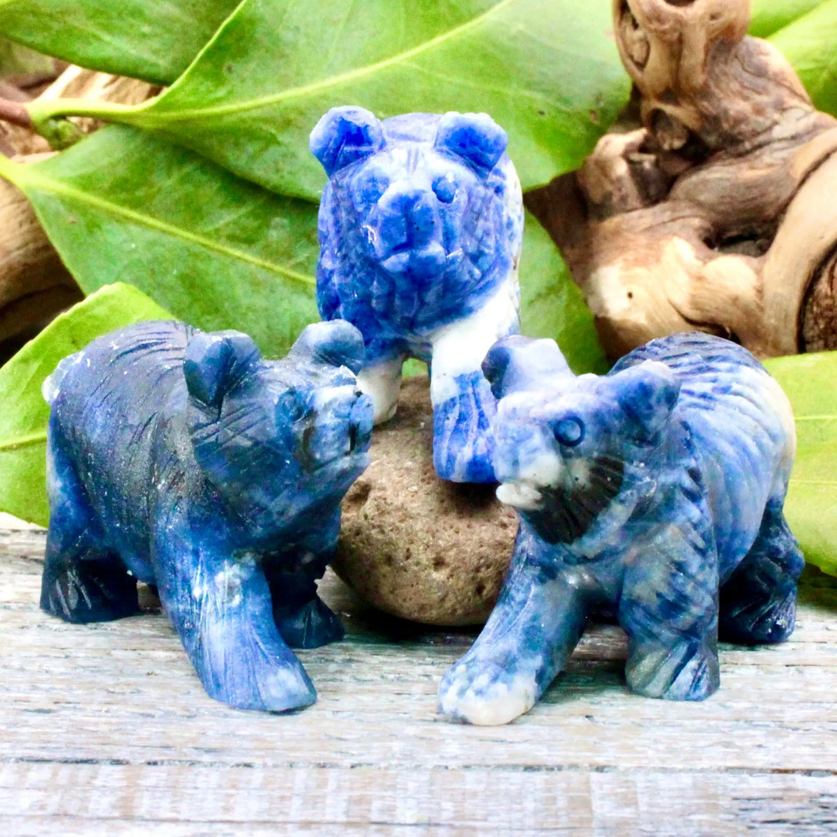 Sodalite Bear Carving