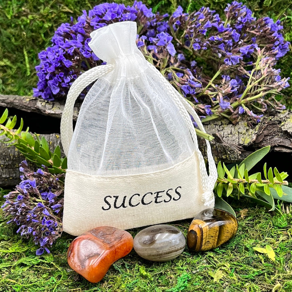 Success - Pocket Rocks - Tumbled Stone Set