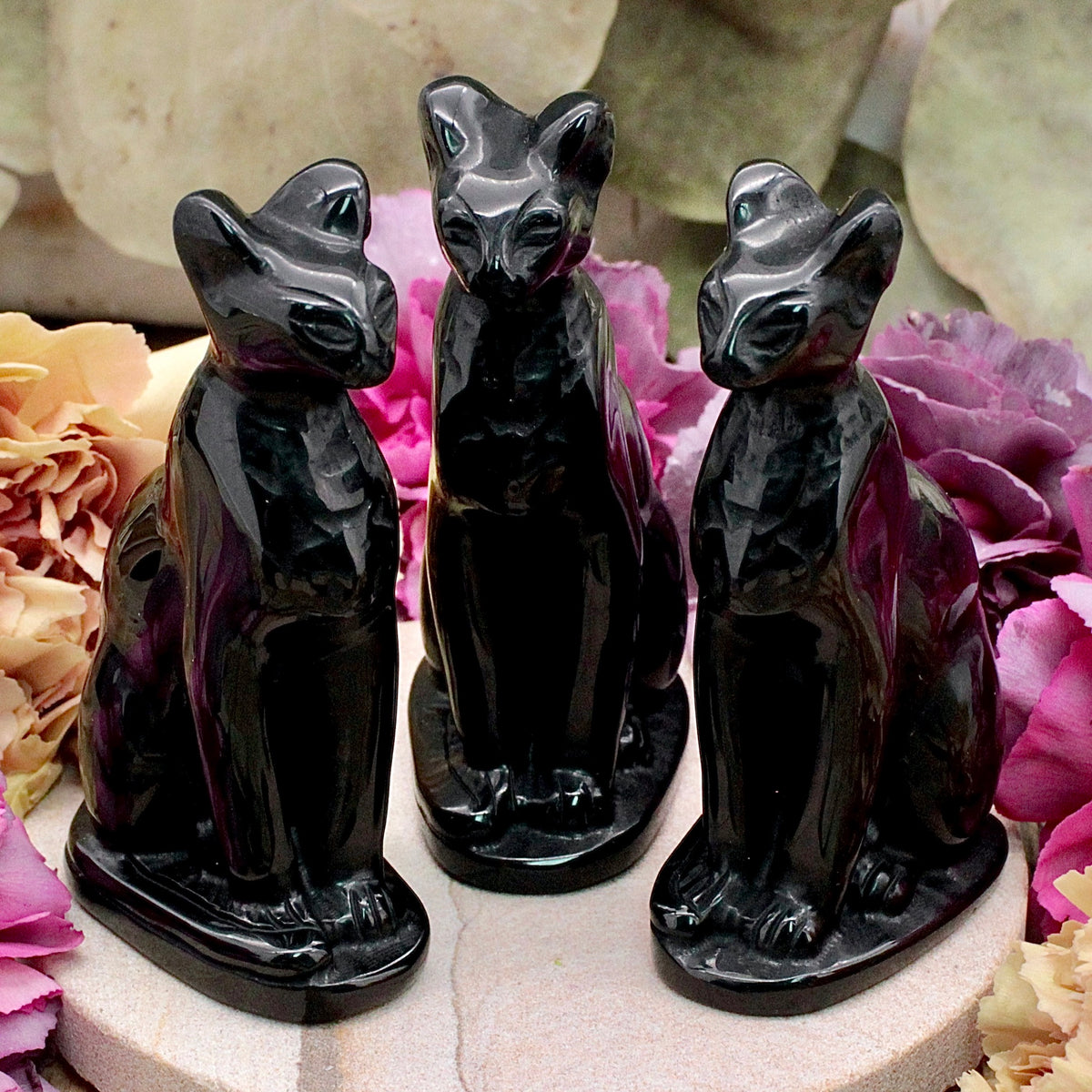 Black Onyx Cat