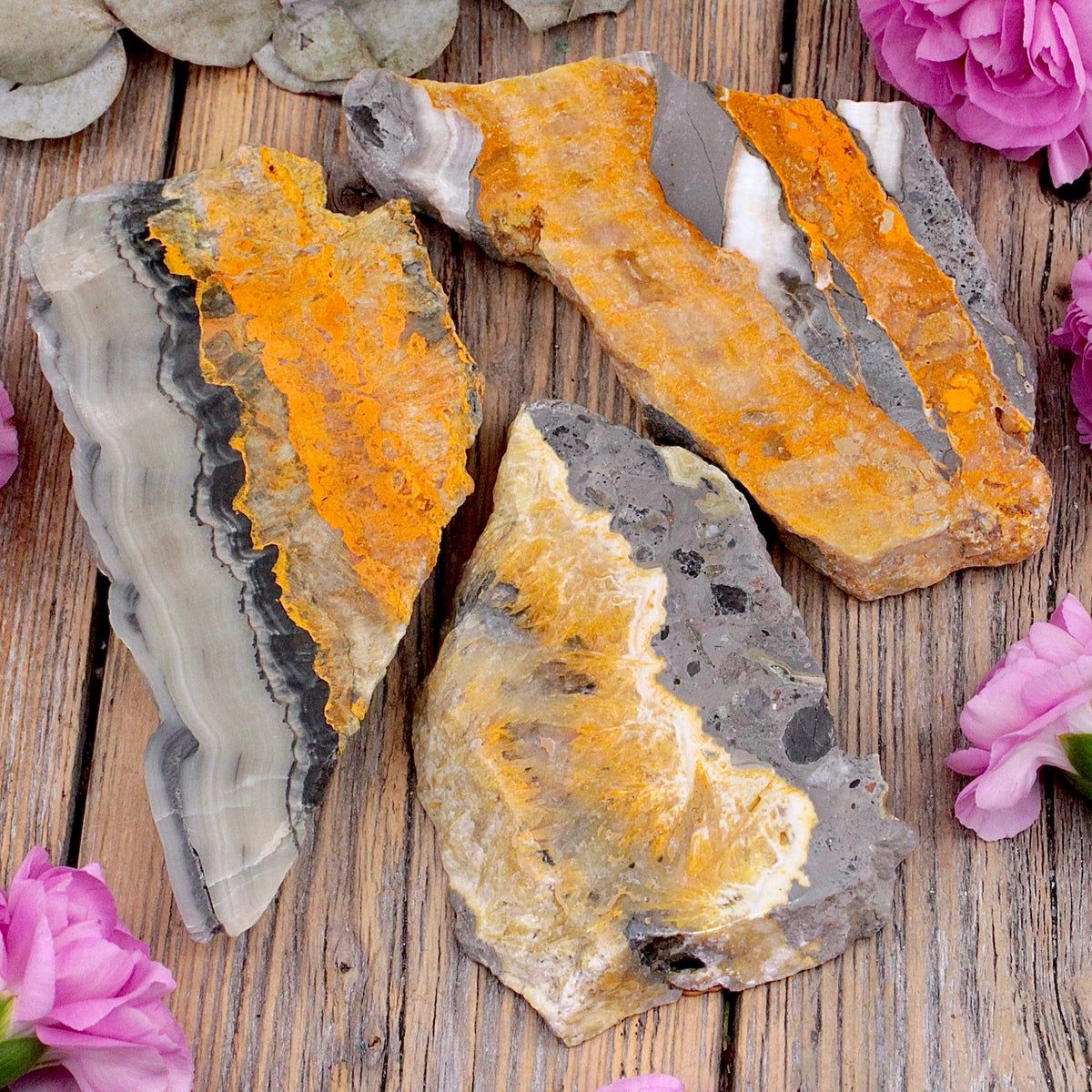 Bumblebee Jasper Slab A