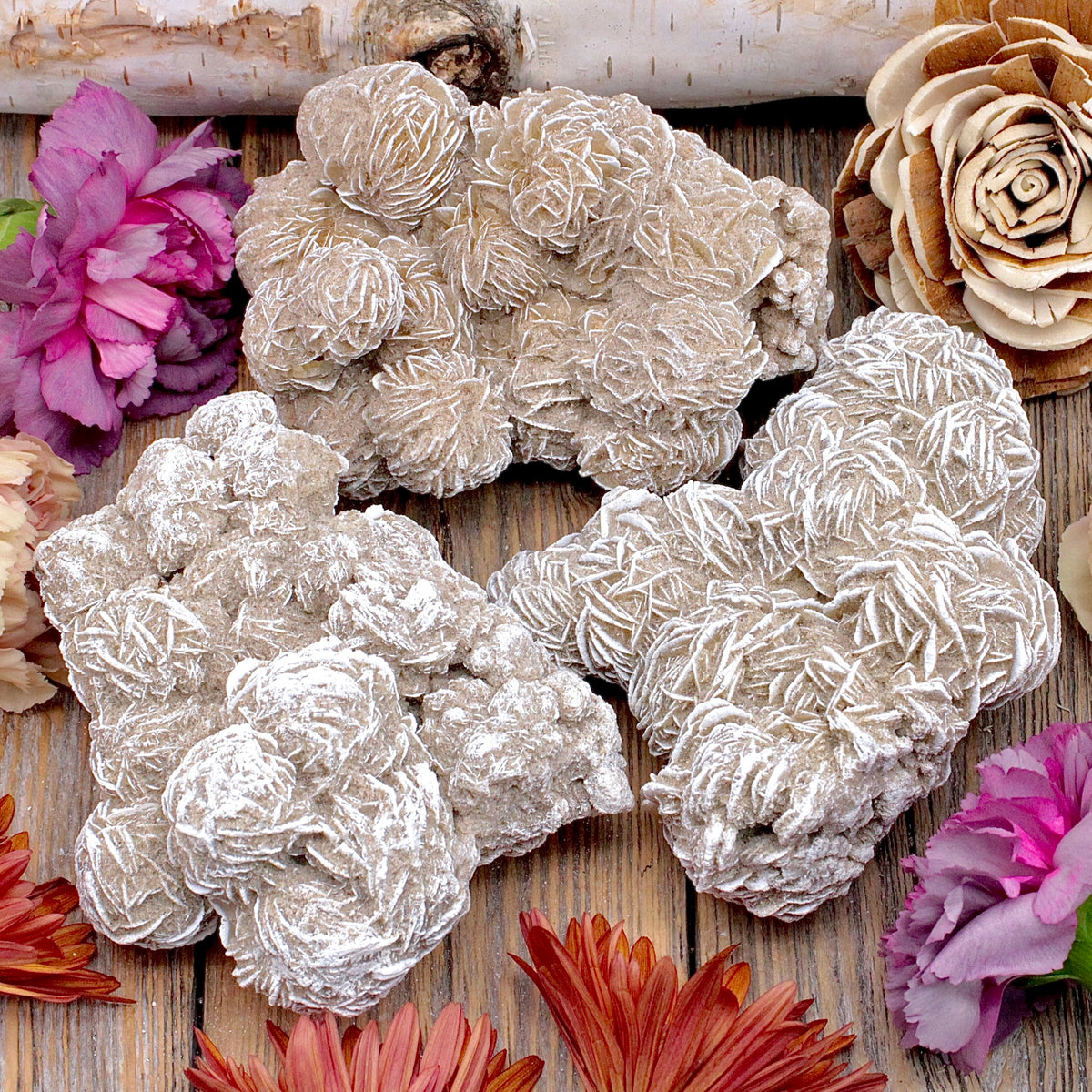 Desert Rose Selenite Cluster A