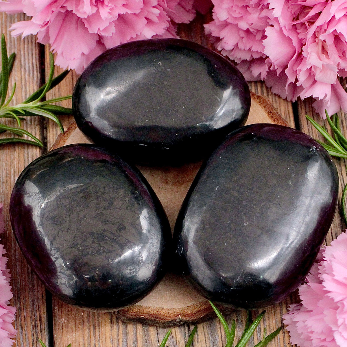 Shungite Palm Stone