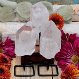 Quartz Mini Pin