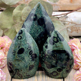 Kambaba Jasper Teardrop