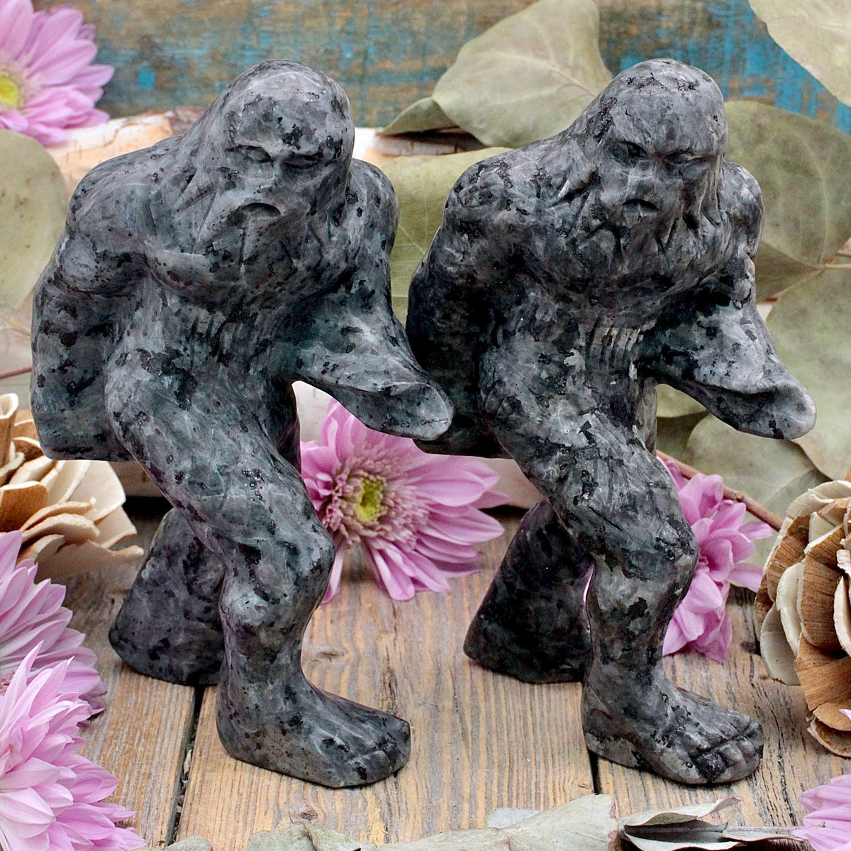 Larvikite Bigfoot 1