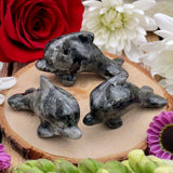 Larvikite Dolphin