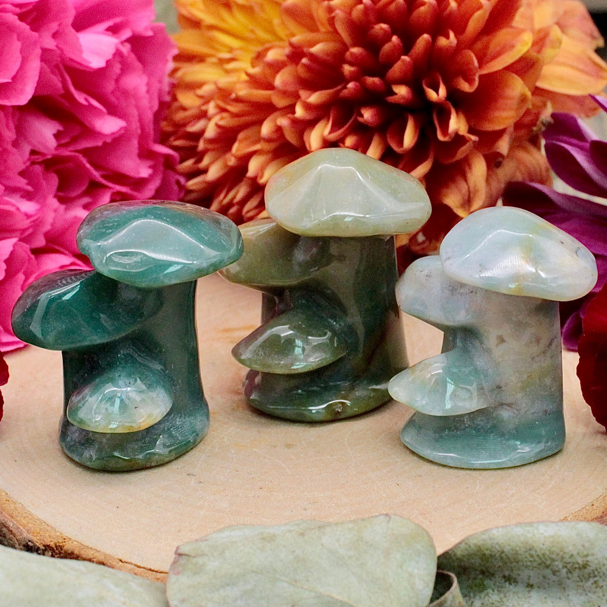 Moss Agate Mushroom Cluster