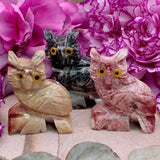 Peruvian Jasper Owl