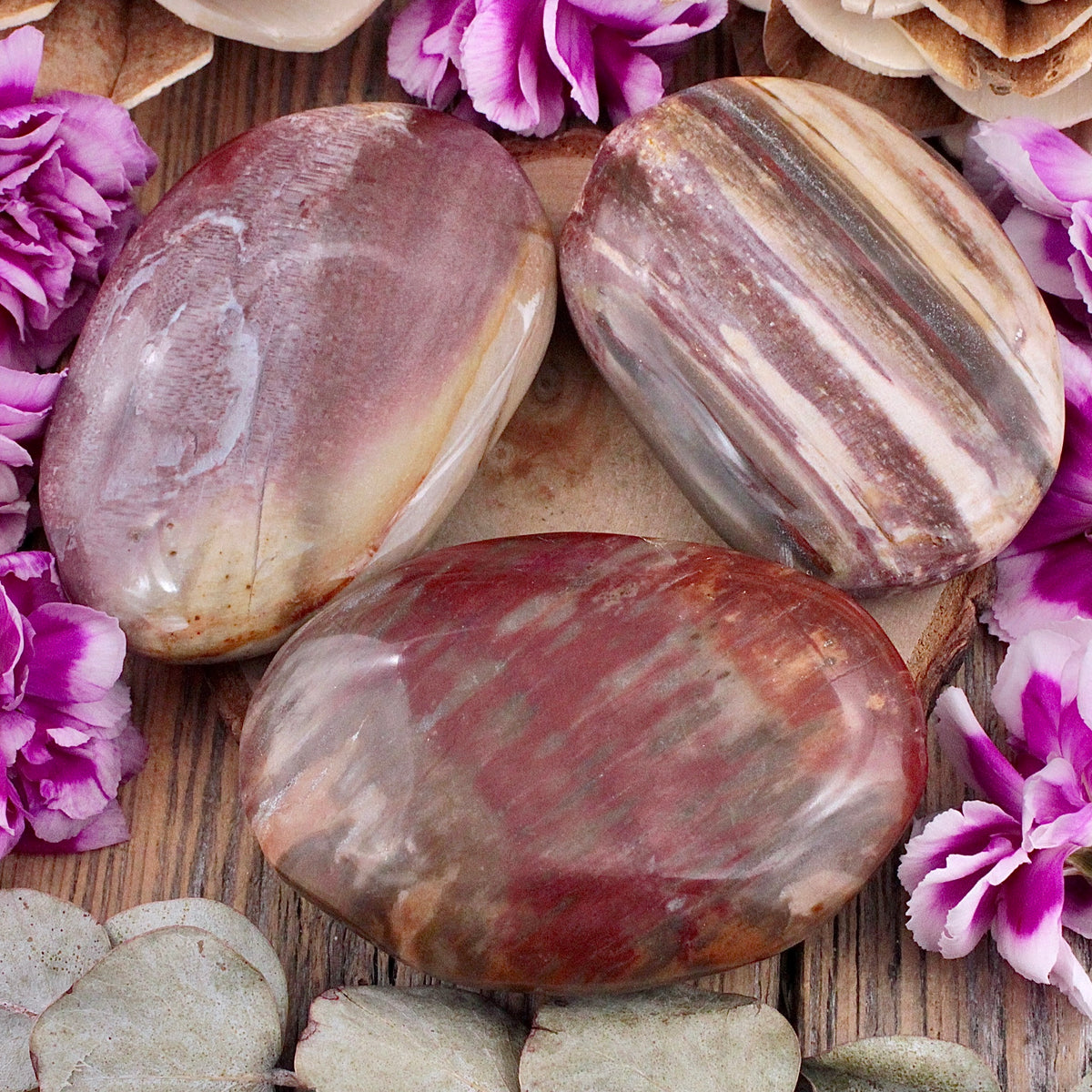 Petrified Wood Palm Stone