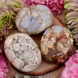 Cobra Jasper Palm Stone