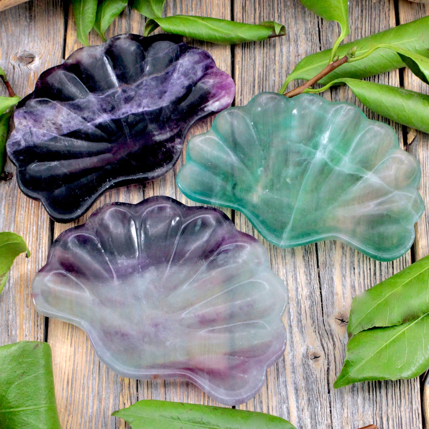 Fluorite Shell Dish