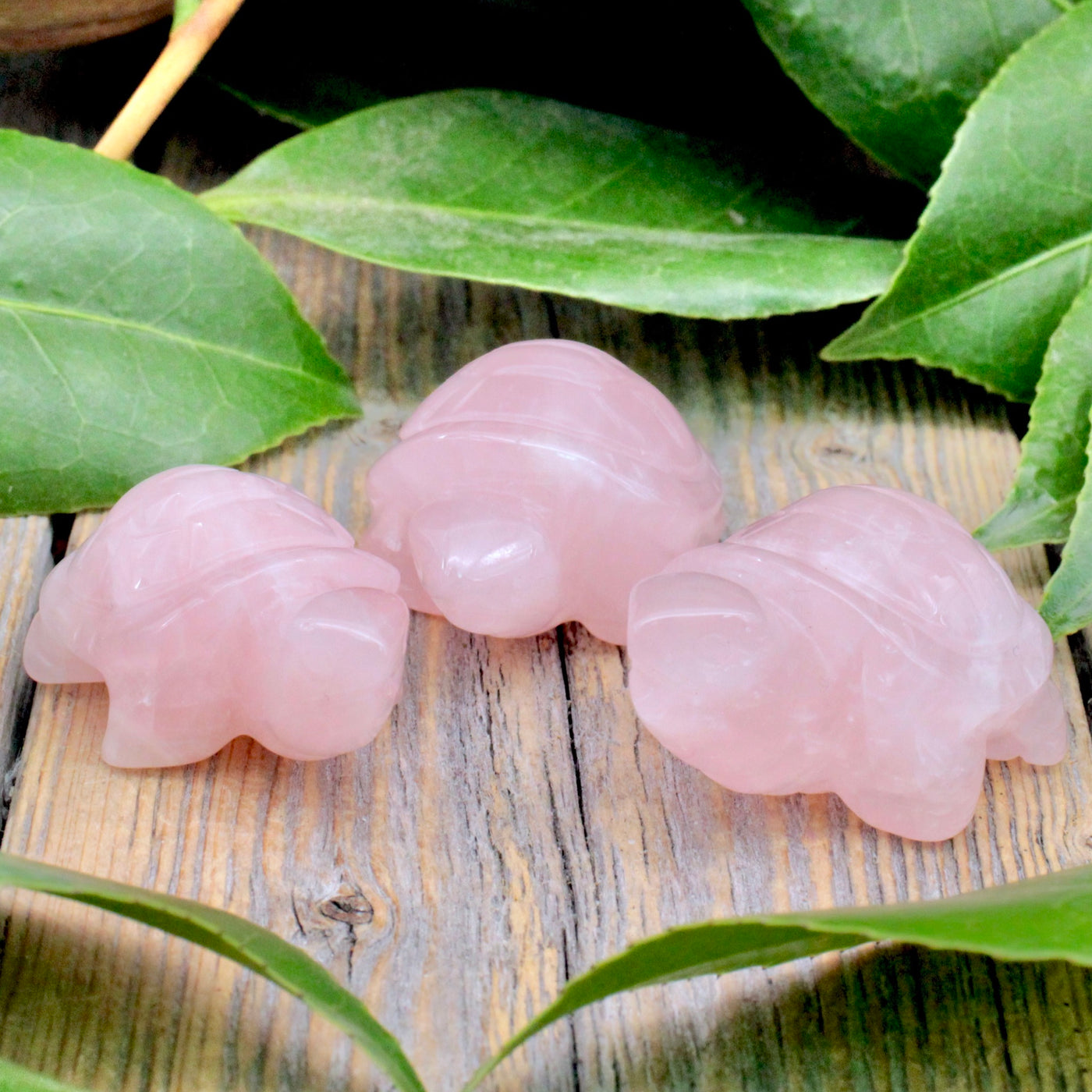 Rose Quartz Turtle