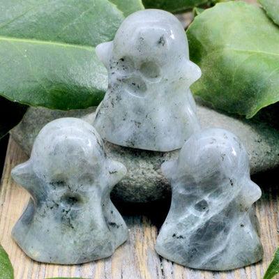 Ghost Carving
