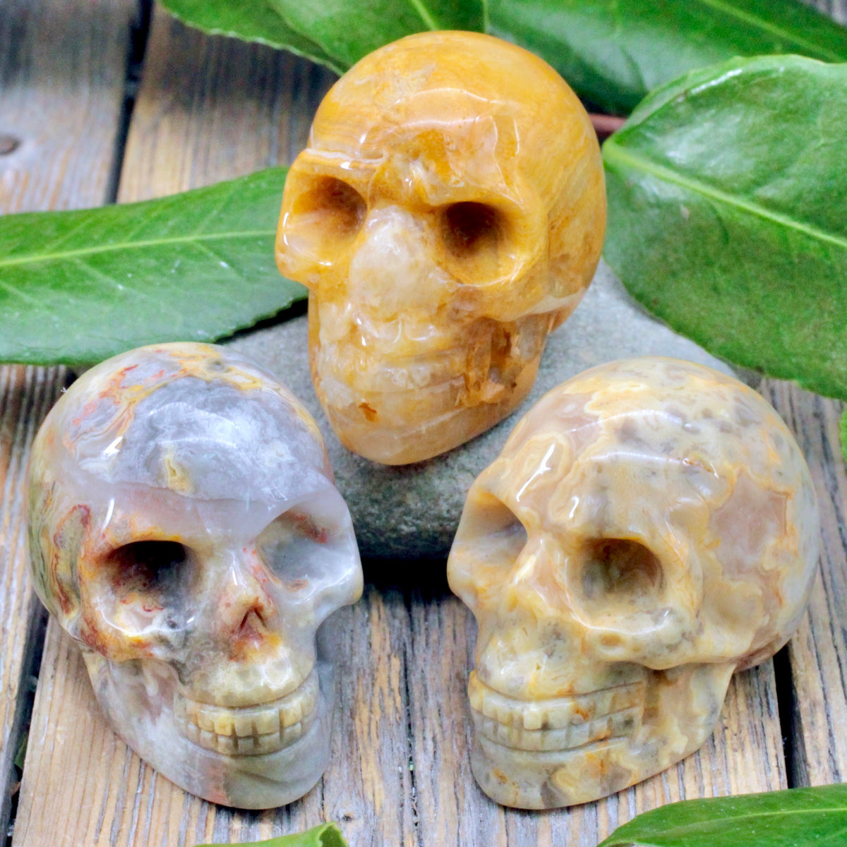 Crazy Lace Agate Skull Carving