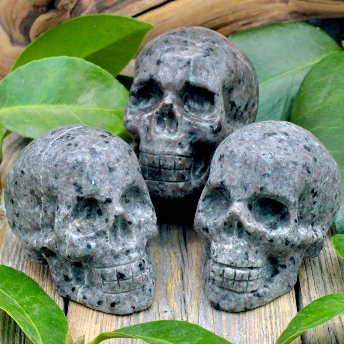 Firestone Skull Carving