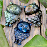 Labradorite Owl Token