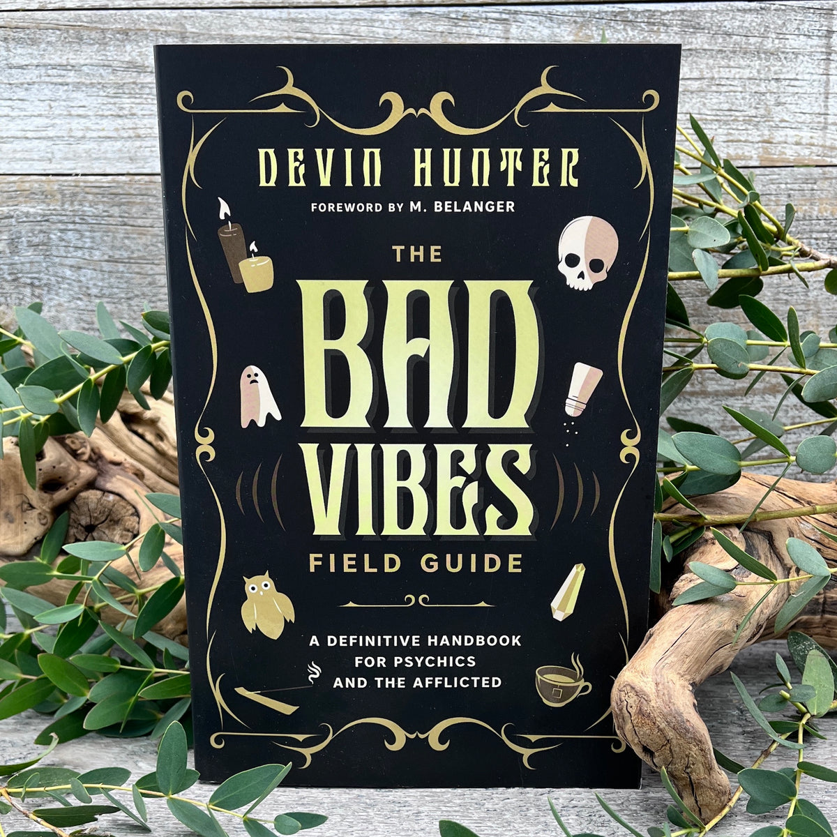 The Bad Vibes Field Guide