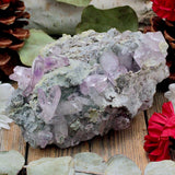 Vera Cruz Amethyst Cluster