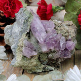 Vera Cruz Amethyst Cluster