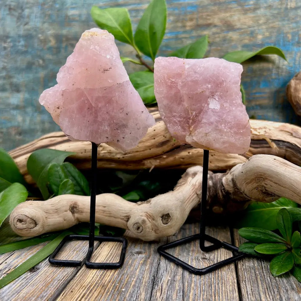 Raw Rose Quartz On Metal Mini Pin with leaves and branches in background