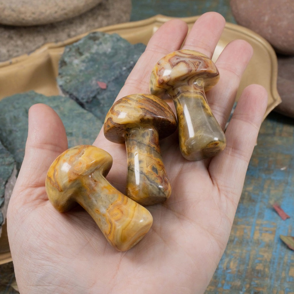 Crazy Lace Agate Mushroom
