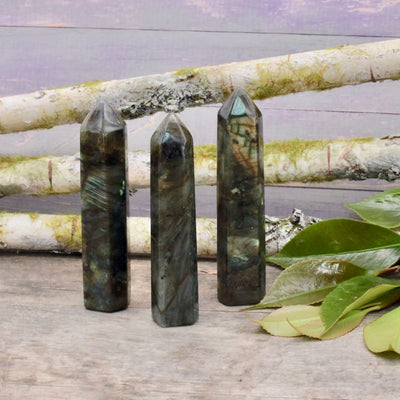 Copy of Labradorite Polished Freeform Offering #1