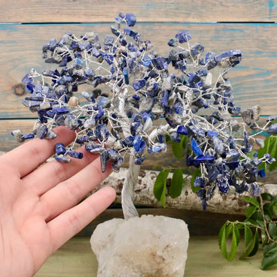 Sodalite Crystal Tree with Zeolite Base