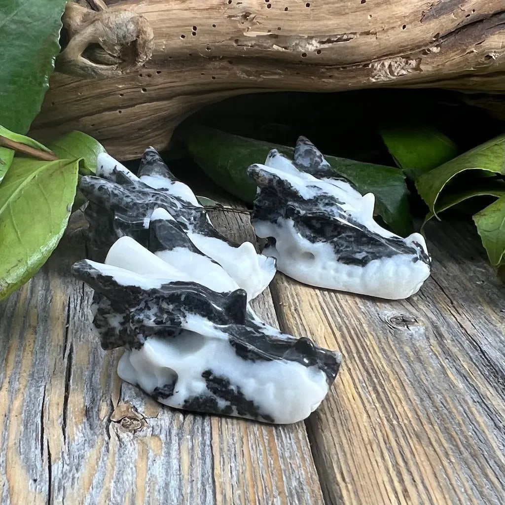 Zebra Jasper Dragon Head