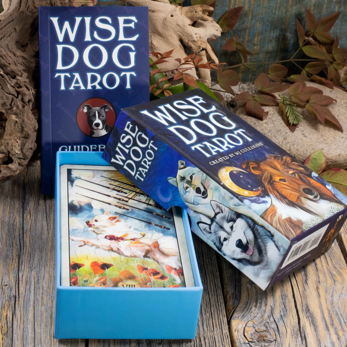 Wise Dog Tarot